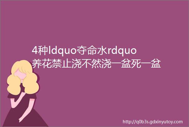 4种ldquo夺命水rdquo养花禁止浇不然浇一盆死一盆