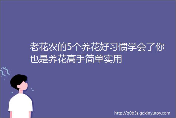 老花农的5个养花好习惯学会了你也是养花高手简单实用